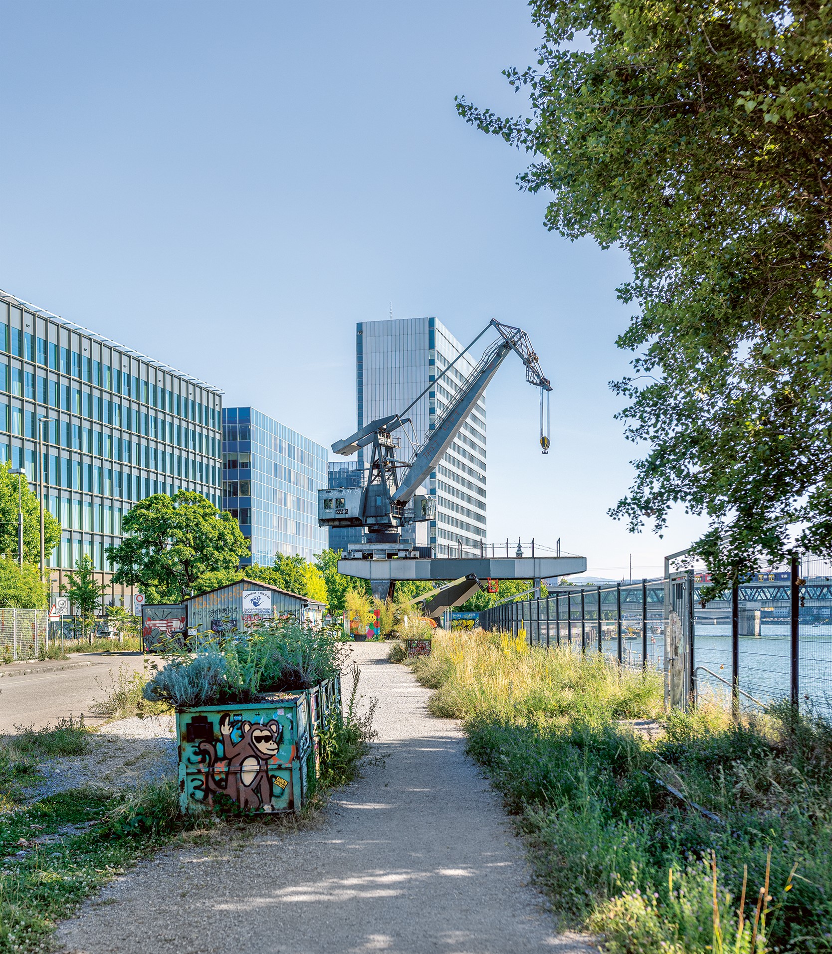 Der Hafenkran am Klybeckquai.